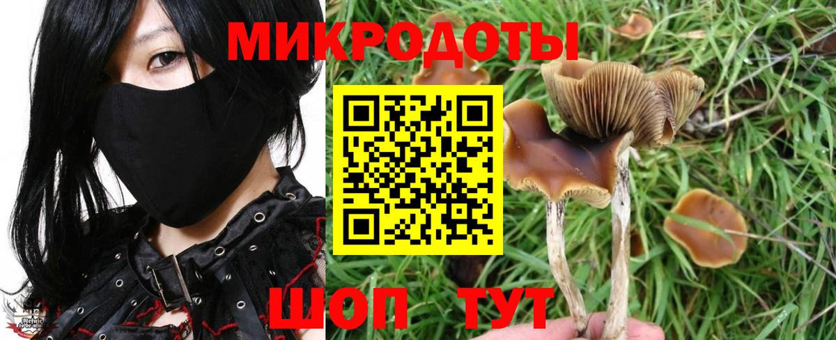 Галлюциногенные грибы Psilocybe  Вход с VPN  Ярцево 