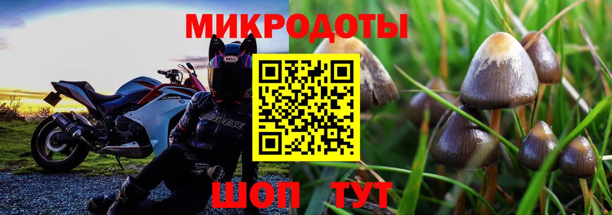 Псилоцибиновые грибы мухоморы Ярцево
